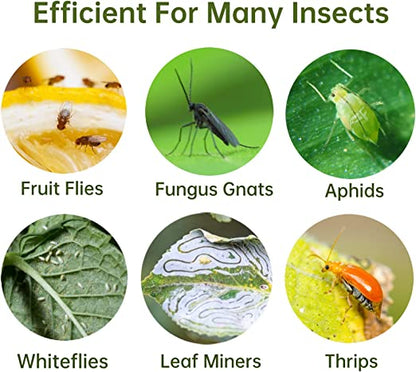 40 pcs Reusable Dual-Sided Sticky Fly Traps – Daily Nifty