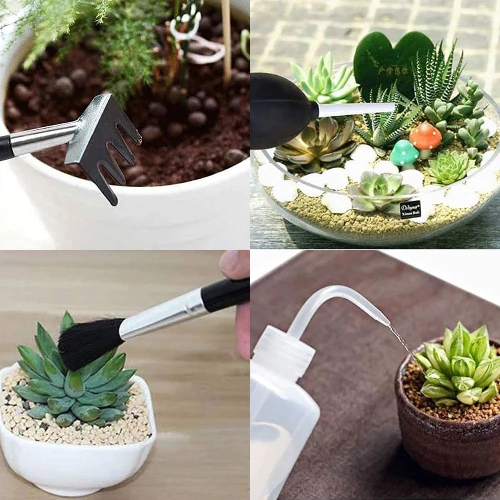 Succulent Plants Tool Set