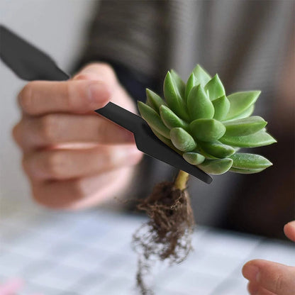 Succulent Plants Tool Set