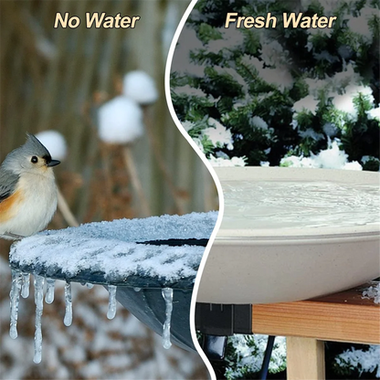 60W Bird Bath Heater Deicer with Thermostat Control & Auto Shut
