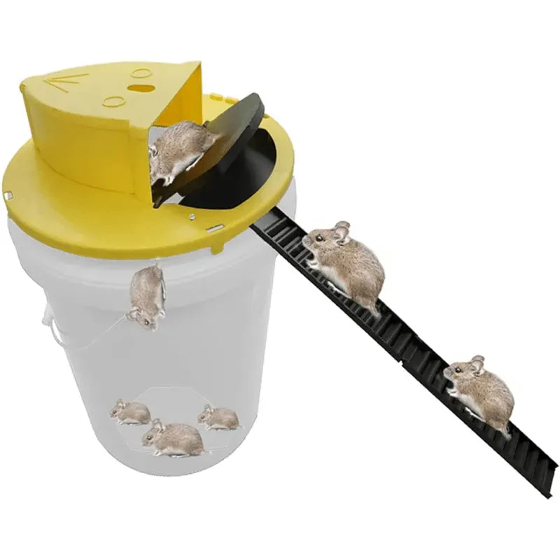 Bucket Mouse Trap