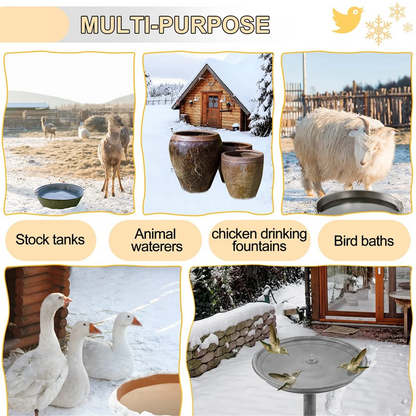 60W Bird Bath Heater Deicer with Thermostat Control & Auto Shut