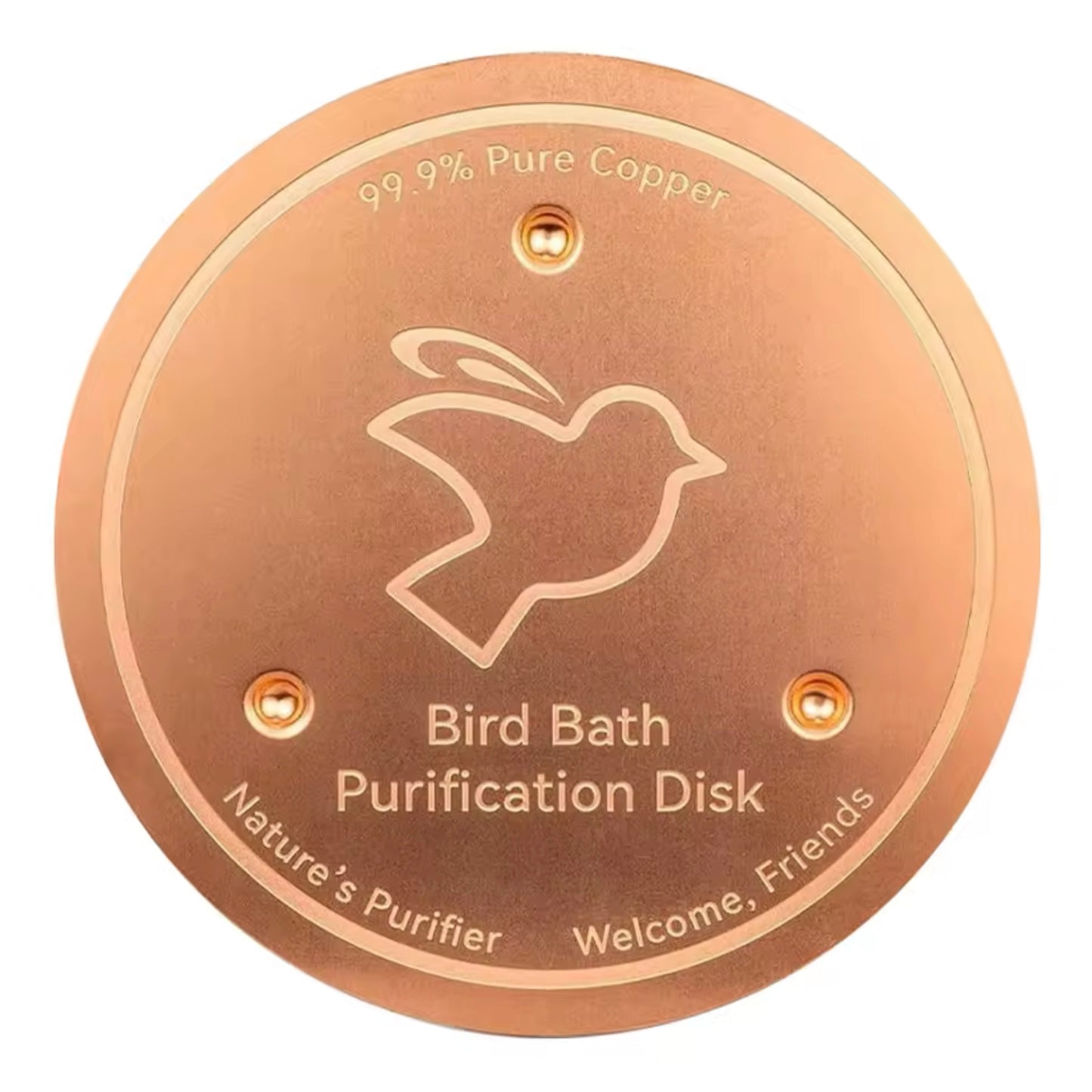 Purification Discs